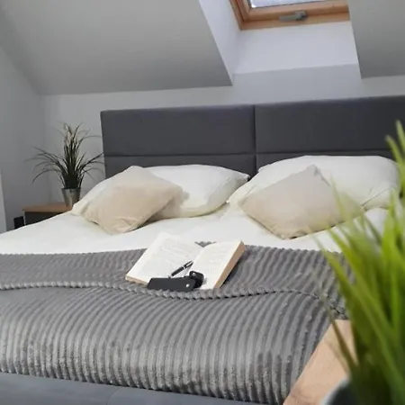 Villa Viwaldi Janowa Gora *