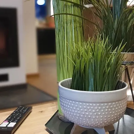 Viwaldi Janowa Gora *