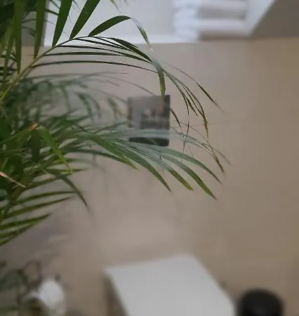 Viwaldi Janowa Gora * Sienna (Klodzko)