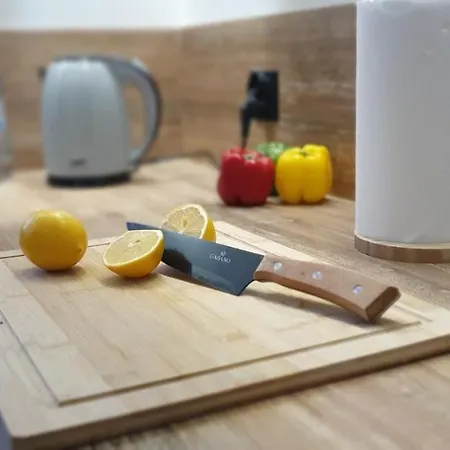 Viwaldi Janowa Gora Villa