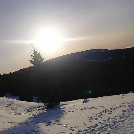 Villa Viwaldi Janowa Gora *