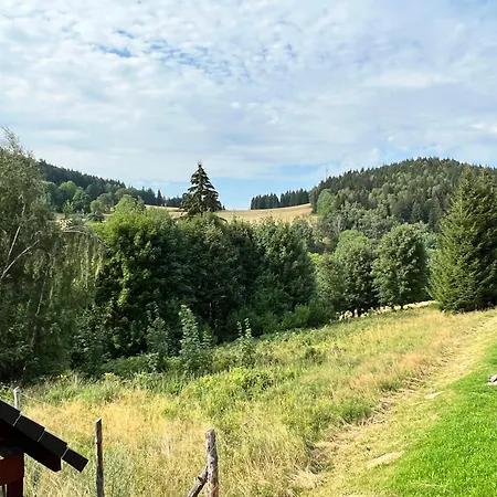 Viwaldi Janowa Gora シェンナ