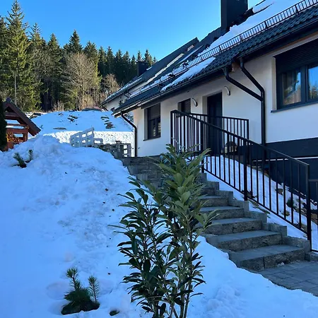 Viwaldi Janowa Gora シェンナ