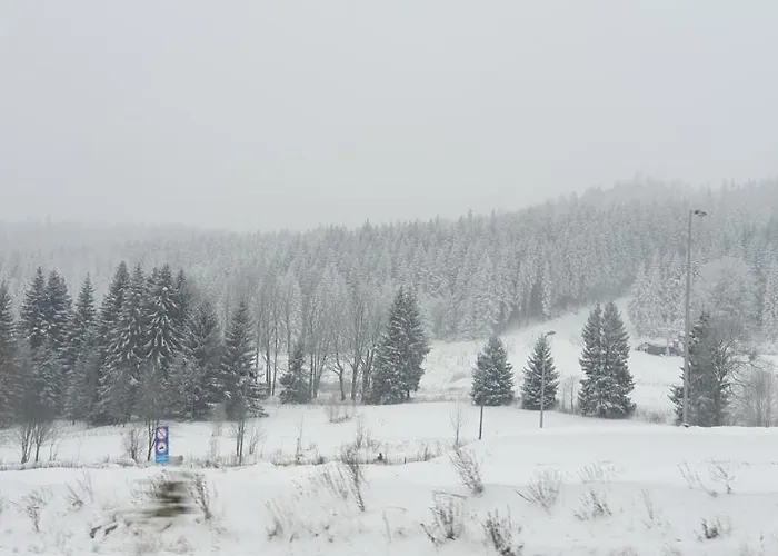 Villa Viwaldi Janowa Gora *