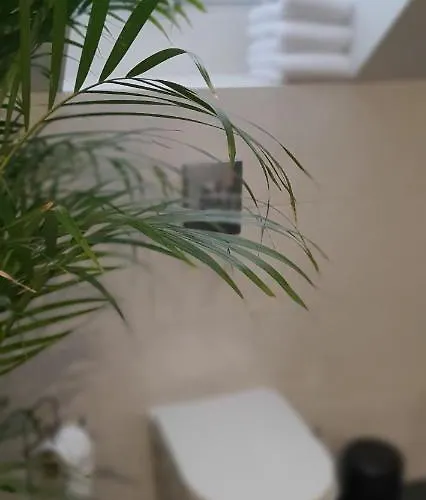 Viwaldi Janowa Gora * Sienna (Klodzko)